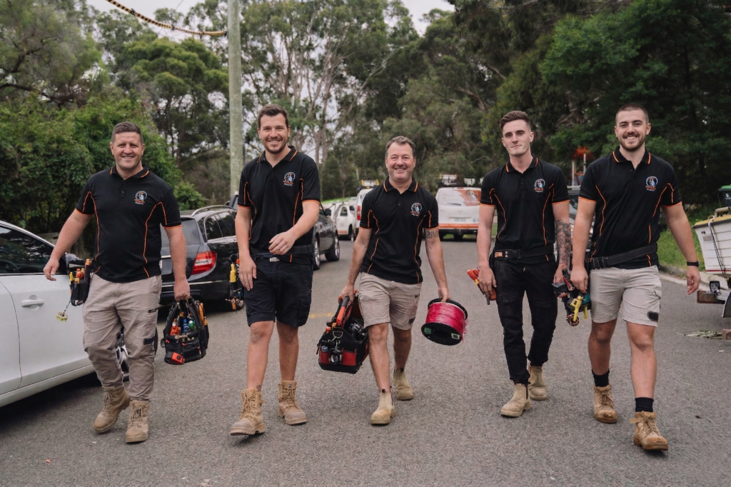 Professional electrical services in Lilyfield